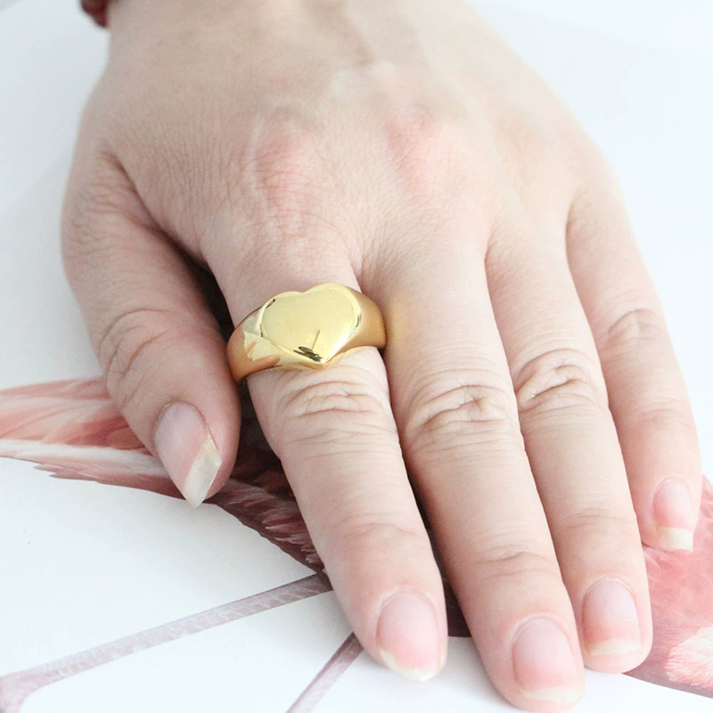365-Edelstahl, Punkrock, glatt – Initial Ring Custom Bewertung und Preis